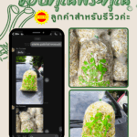 โรงงานผลิตถุงพลาสติก ถุงใส่ถั่วงอกสวย ราคาโรงงาน
