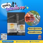 ถุงหิ้วไฮโซ